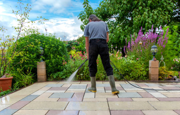 Best Building Exterior Pressure Washing in Mcadoo, PA